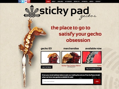 Sticky Pad Geckos Website Design